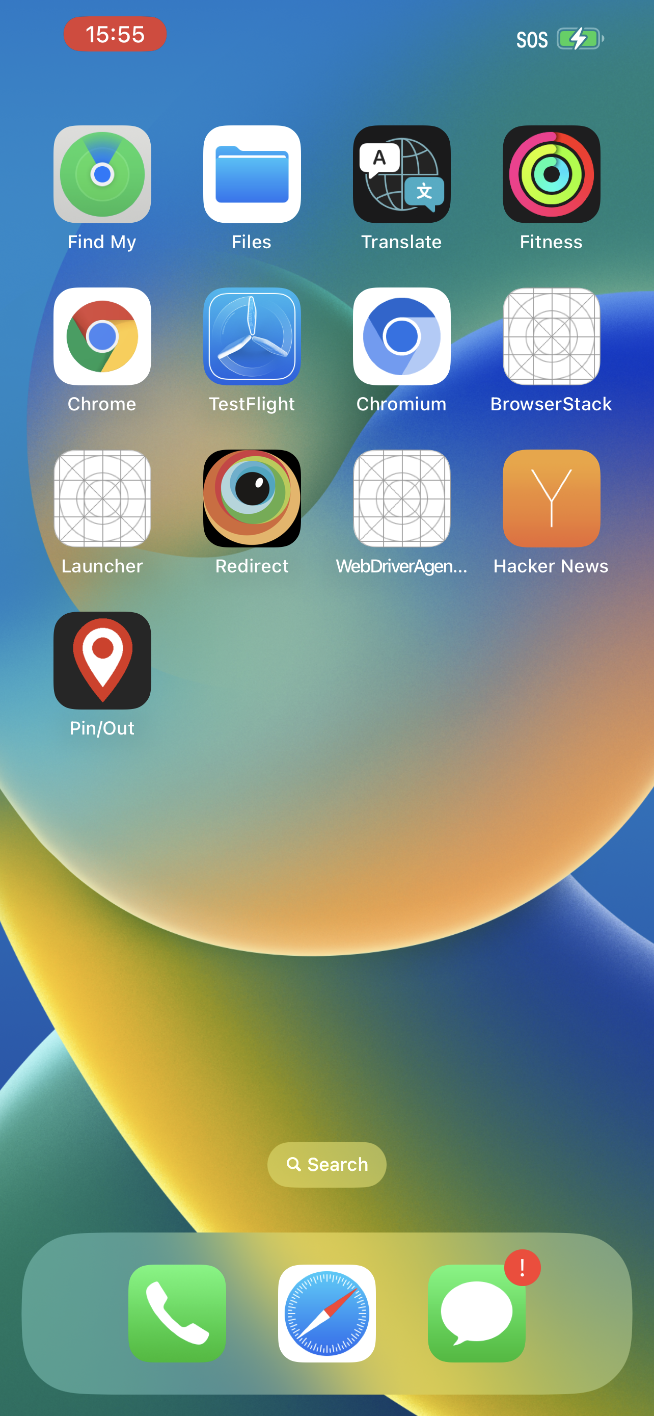 Pin/Out on Apple home screen